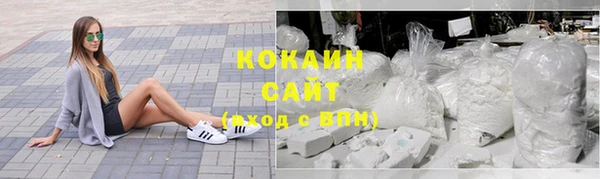 индика Бутурлиновка