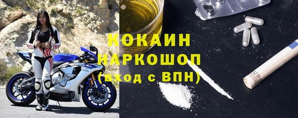 гидра Семилуки