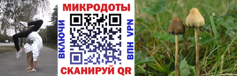 blacksprut ССЫЛКА  Агрыз  Псилоцибиновые грибы MAGIC MUSHROOMS 